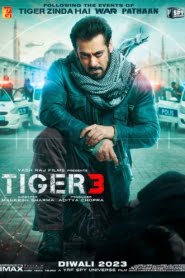 Tiger 3 (2023) Online Subtitrat in Romana