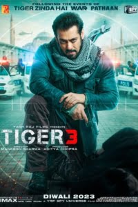 Tiger 3 (2023) Online Subtitrat in Romana