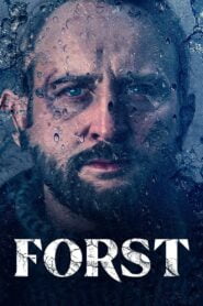 Detective Forst: Season 1
