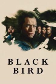 Black Bird (2022) Online Subtitrat in Romana
