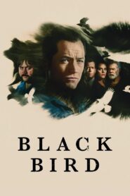 Black Bird: Season 1