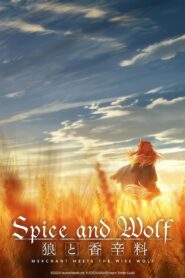 Spice and Wolf: MERCHANT MEETS THE WISE WOLF (2024) Online