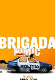 Brigada Nimic (2024) Online Subtitrat in Romana